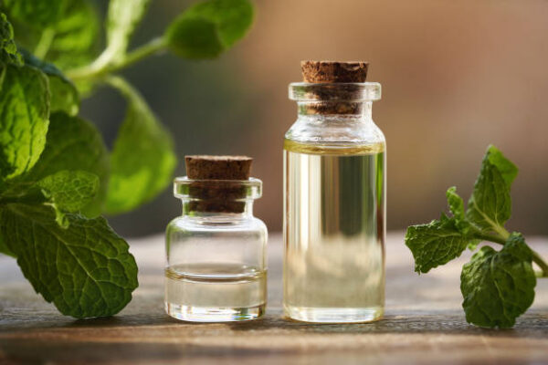 A glass bottle of aromatherapy essential oil with fresh peppermint plant